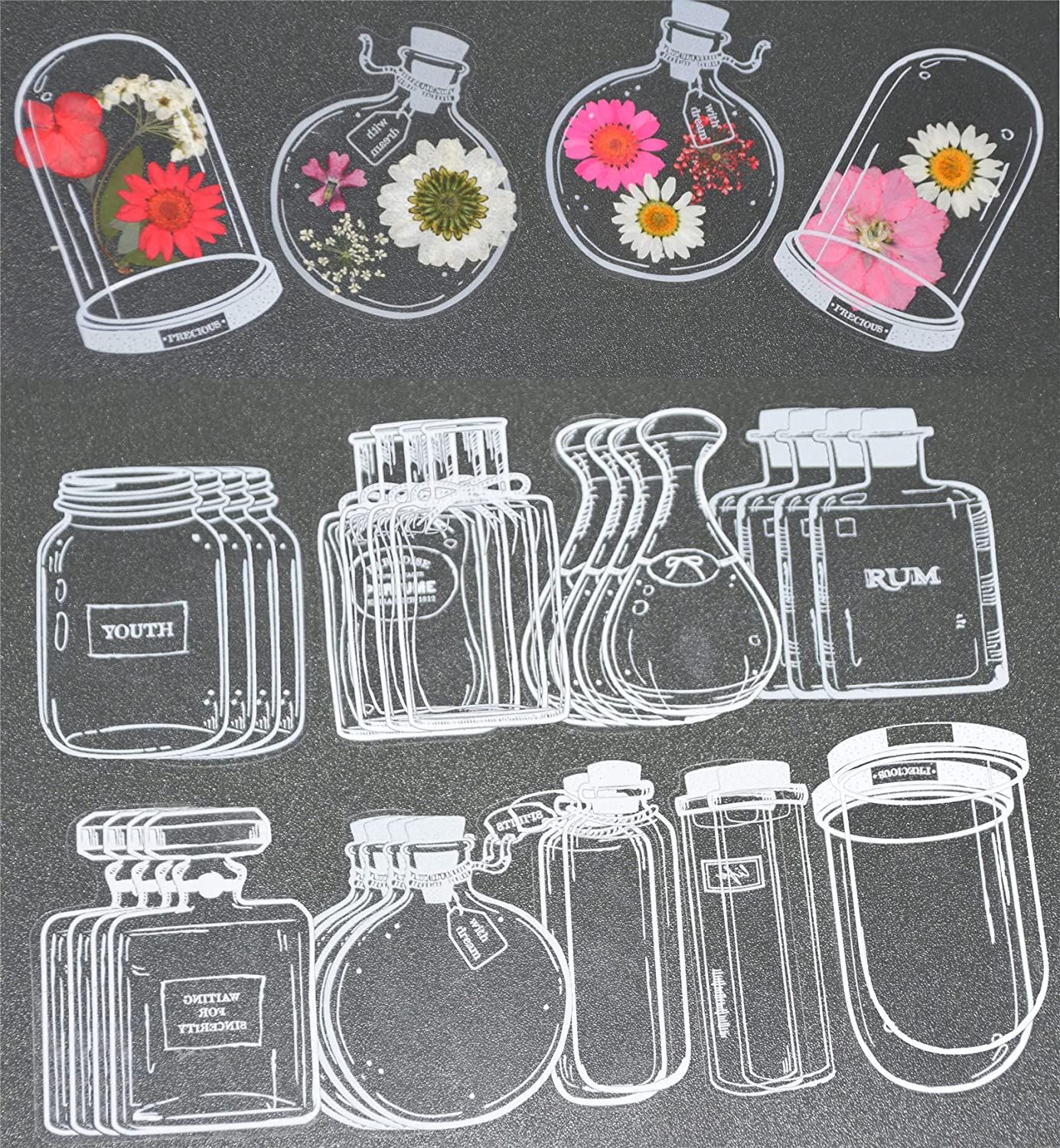 30Pcs DIY Transparent Dried Fl - Dried Flower Bookmark ulasan dan harga