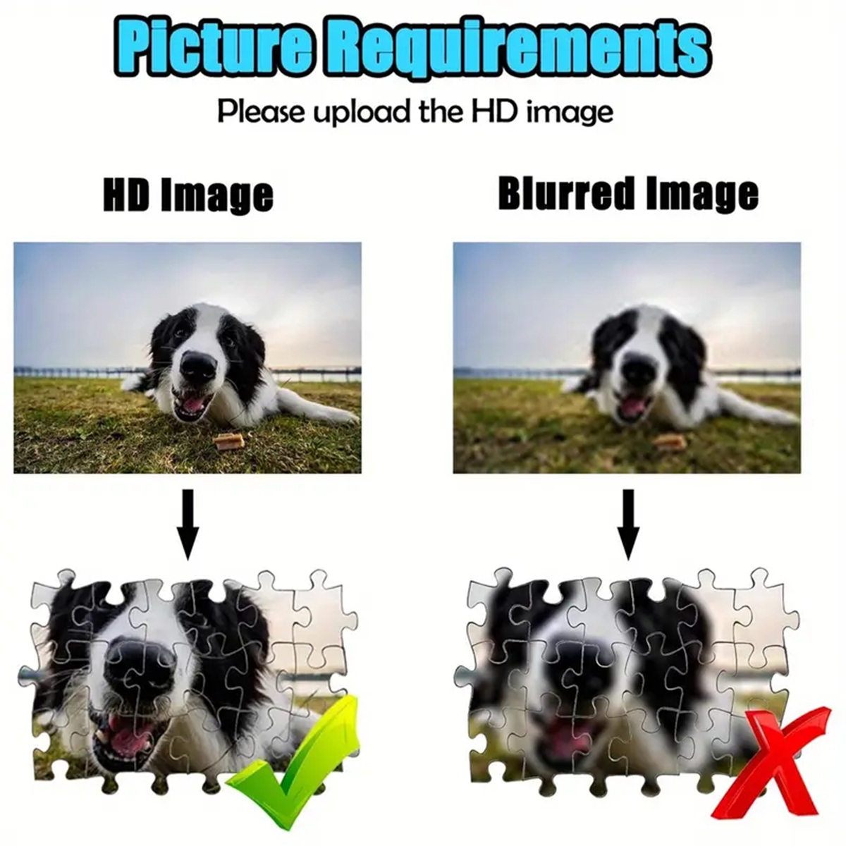 35/300/500/1000pcs Personalize - Pet Portrait Custom ulasan dan harga